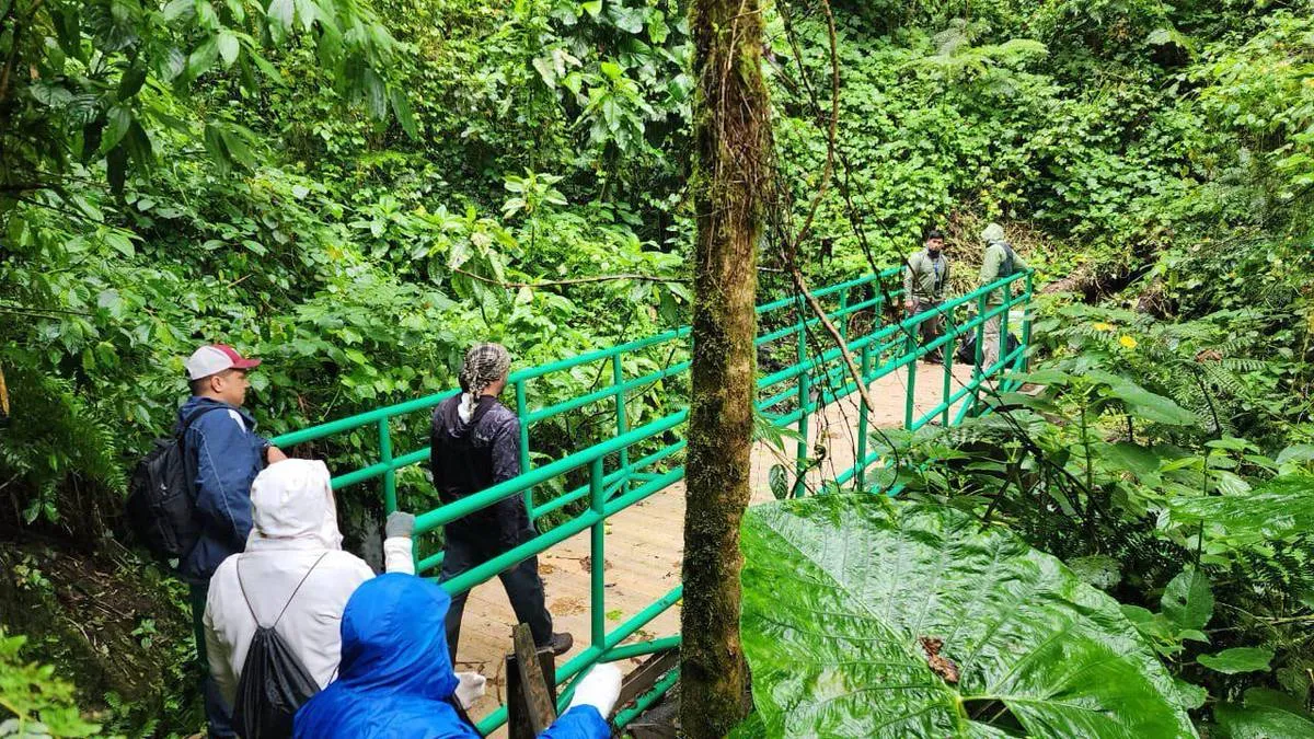 Sendero Los Quetzales
